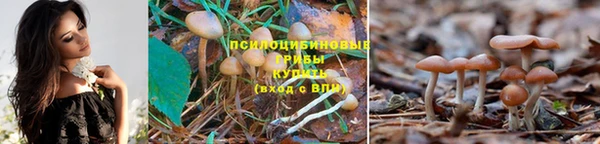 не бодяженный Медвежьегорск