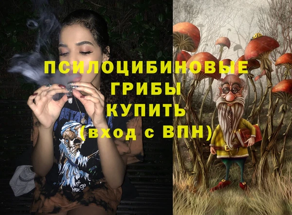 не бодяженный Медвежьегорск