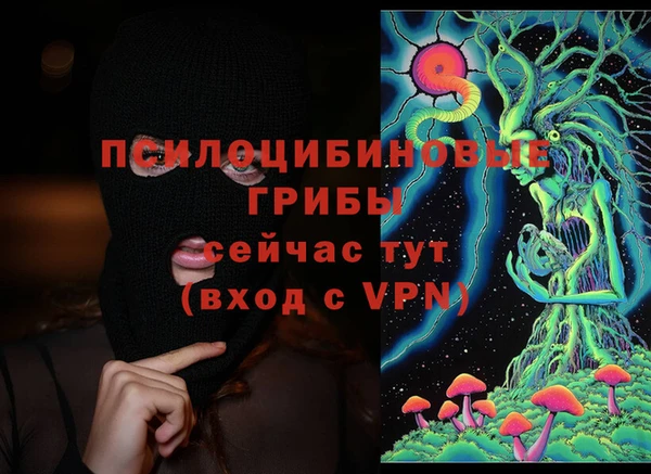 не бодяженный Медвежьегорск